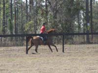 international/USA/2009FITS/gallery/AngieMcGhee/thumbnails/FITS Sat. 50 078.jpg